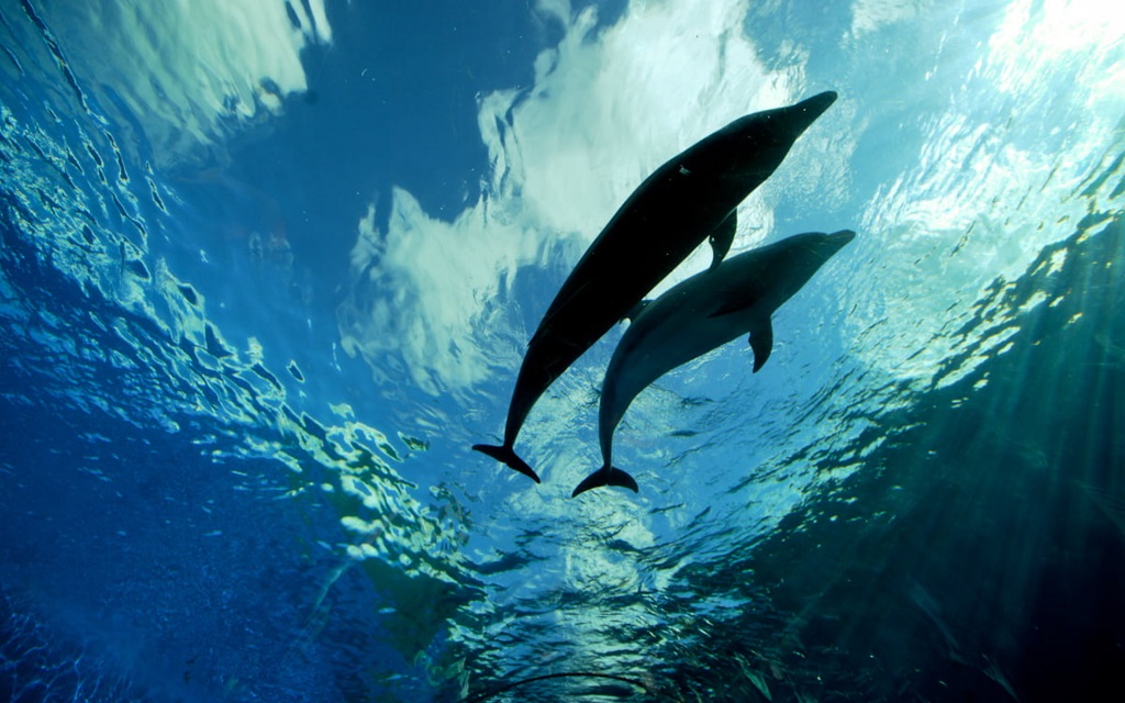Which beach has the bluest water in Florida